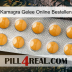 Order Kamagra Jelly Online levitra1